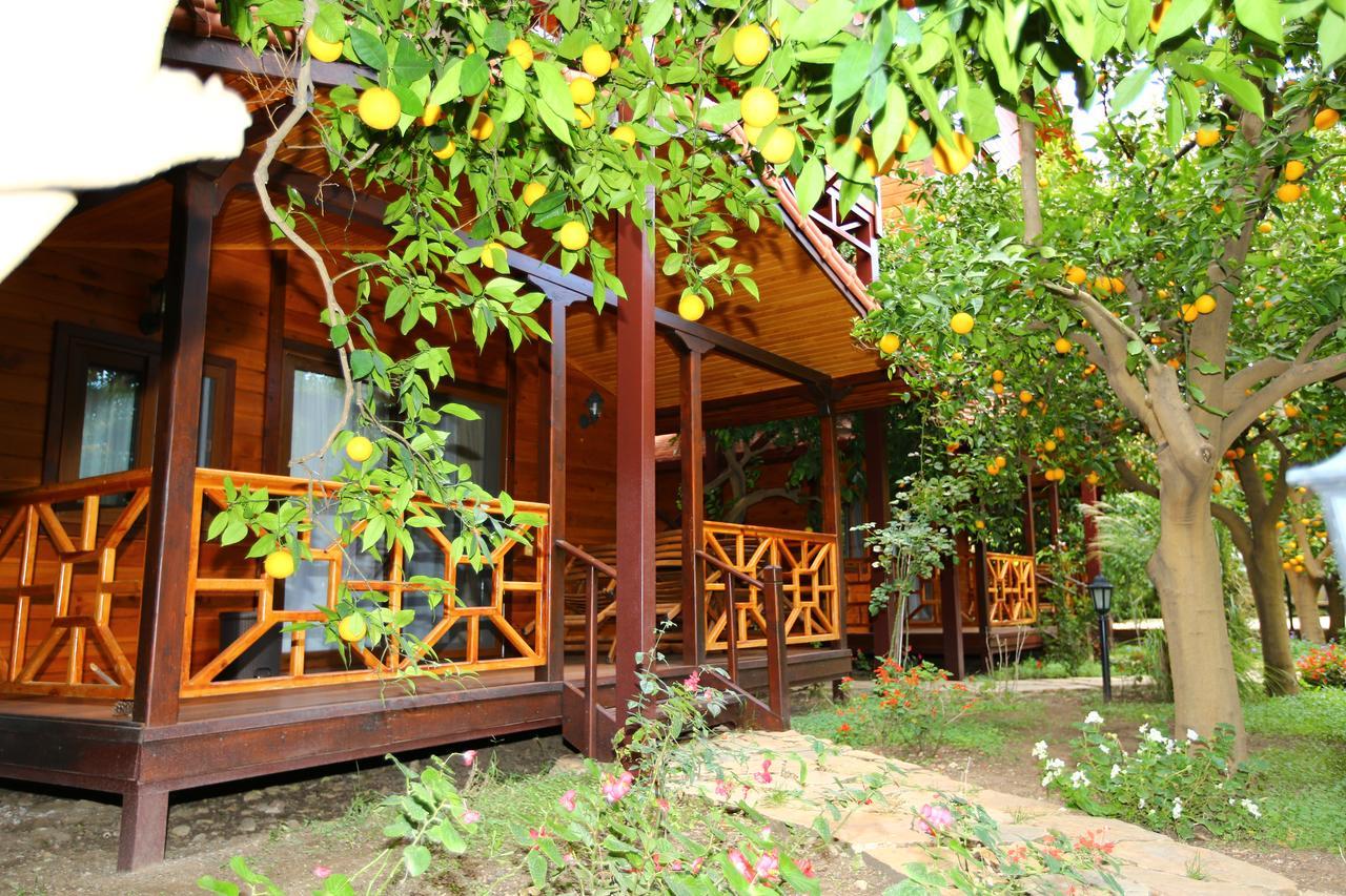 Bahce Villa Cirali Bagian luar foto