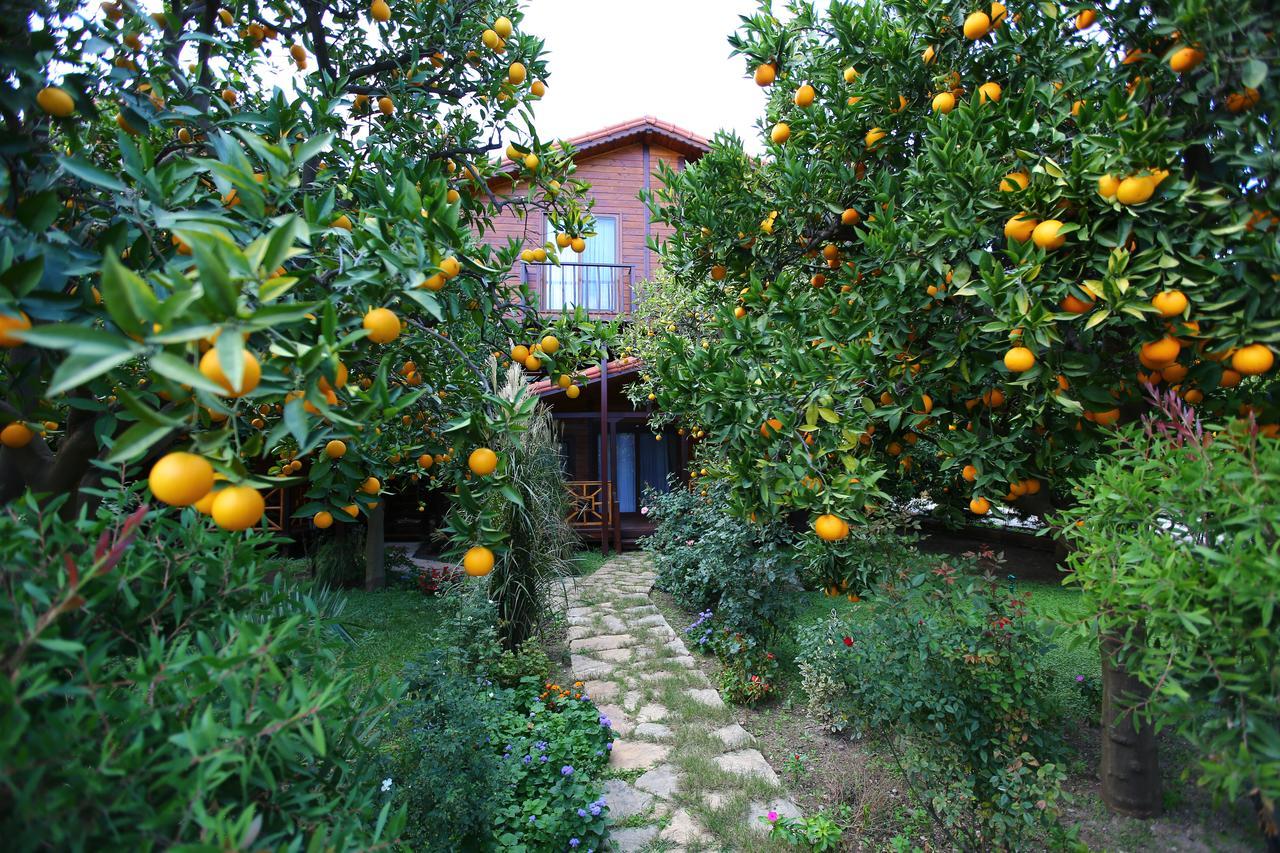 Bahce Villa Cirali Bagian luar foto