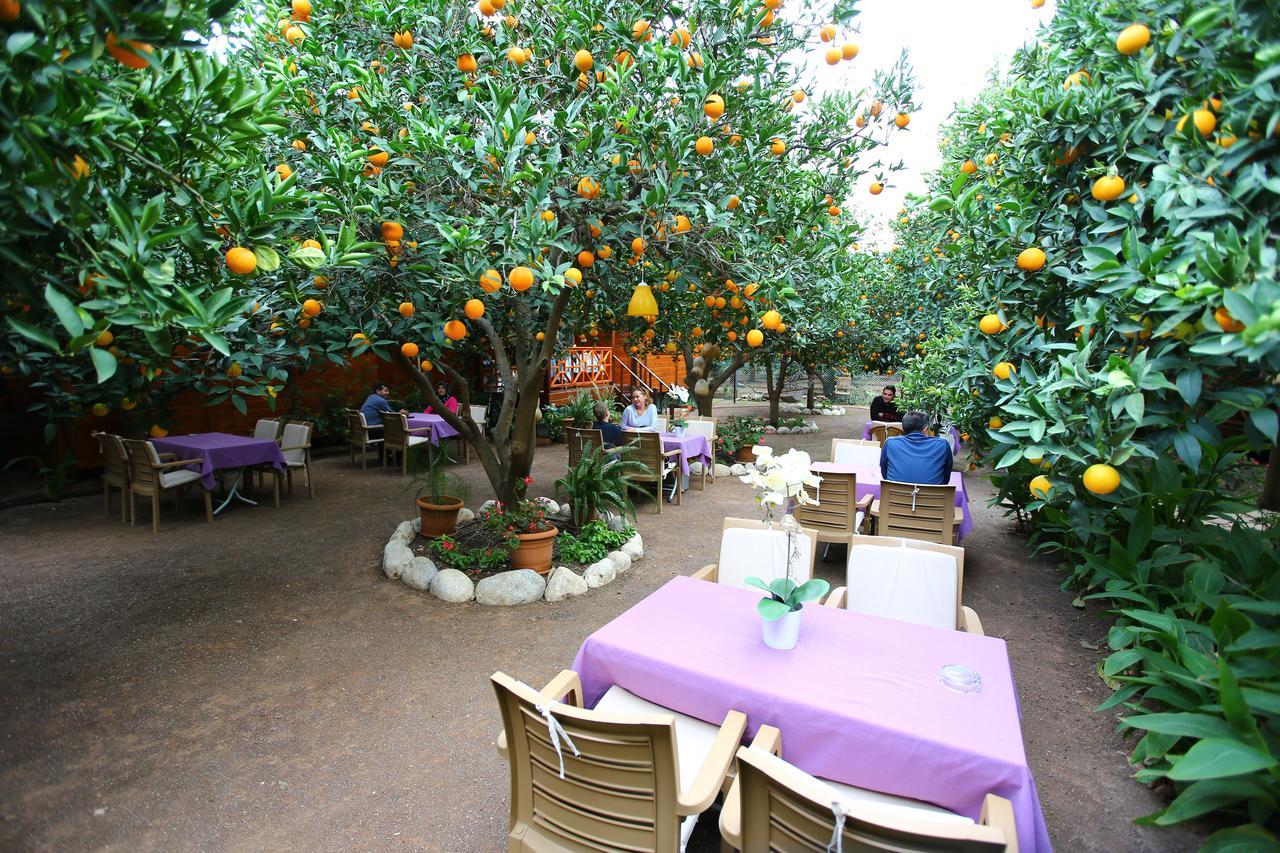 Bahce Villa Cirali Bagian luar foto